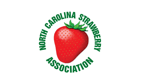 Group Banner Picture